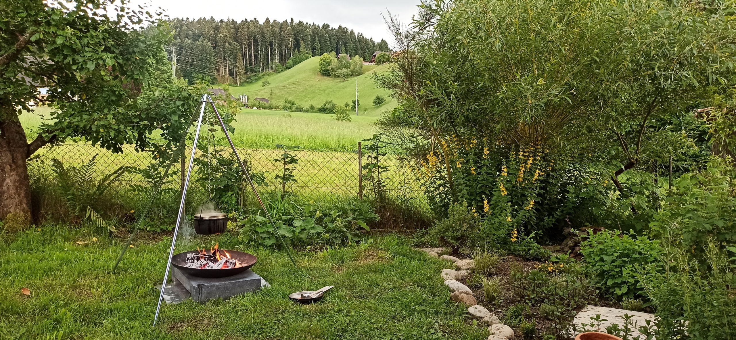 Kochen auf dem Feuer!